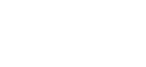 wisdom planning group logo
